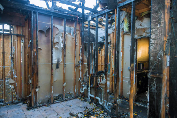 Professional Fire Damage Repair technician working in Bock, MN